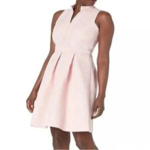 Pappagallo Size 10 Ballet Pink Dress Pleated Formal Party